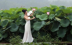 好看电影网百度影音